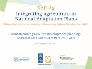 Mainstreaming CCA into development planning:
Approaches and Case Studies from UNDP work
Glenn Hodes & Rohini Kohli
 
