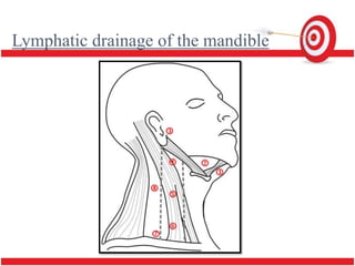 Mandule mandible | PPTX