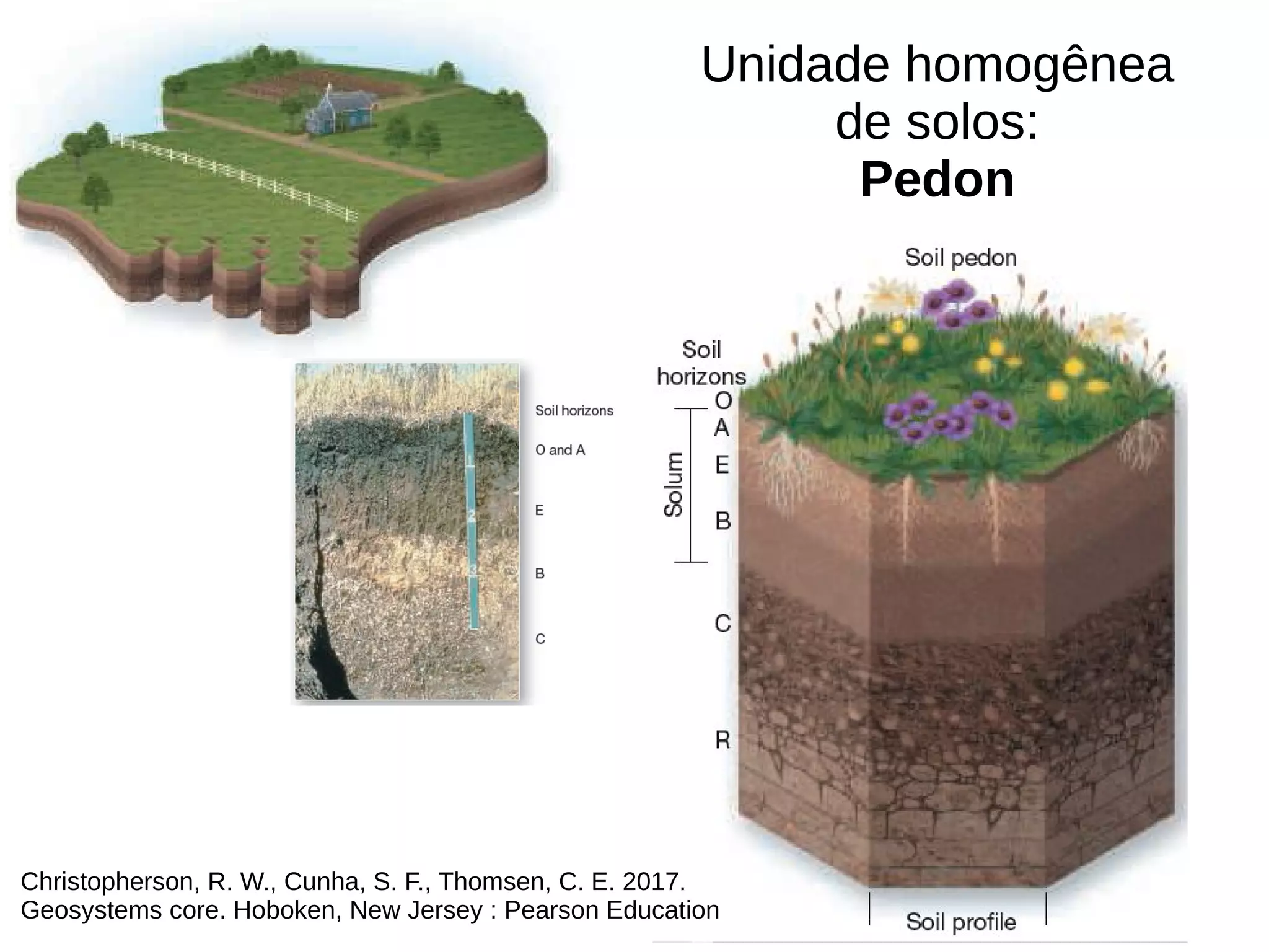 Unidade homogênea
de solos:
Pedon
Christopherson, R. W., Cunha, S. F., Thomsen, C. E. 2017.
Geosystems core. Hoboken, New Jersey : Pearson Education
 