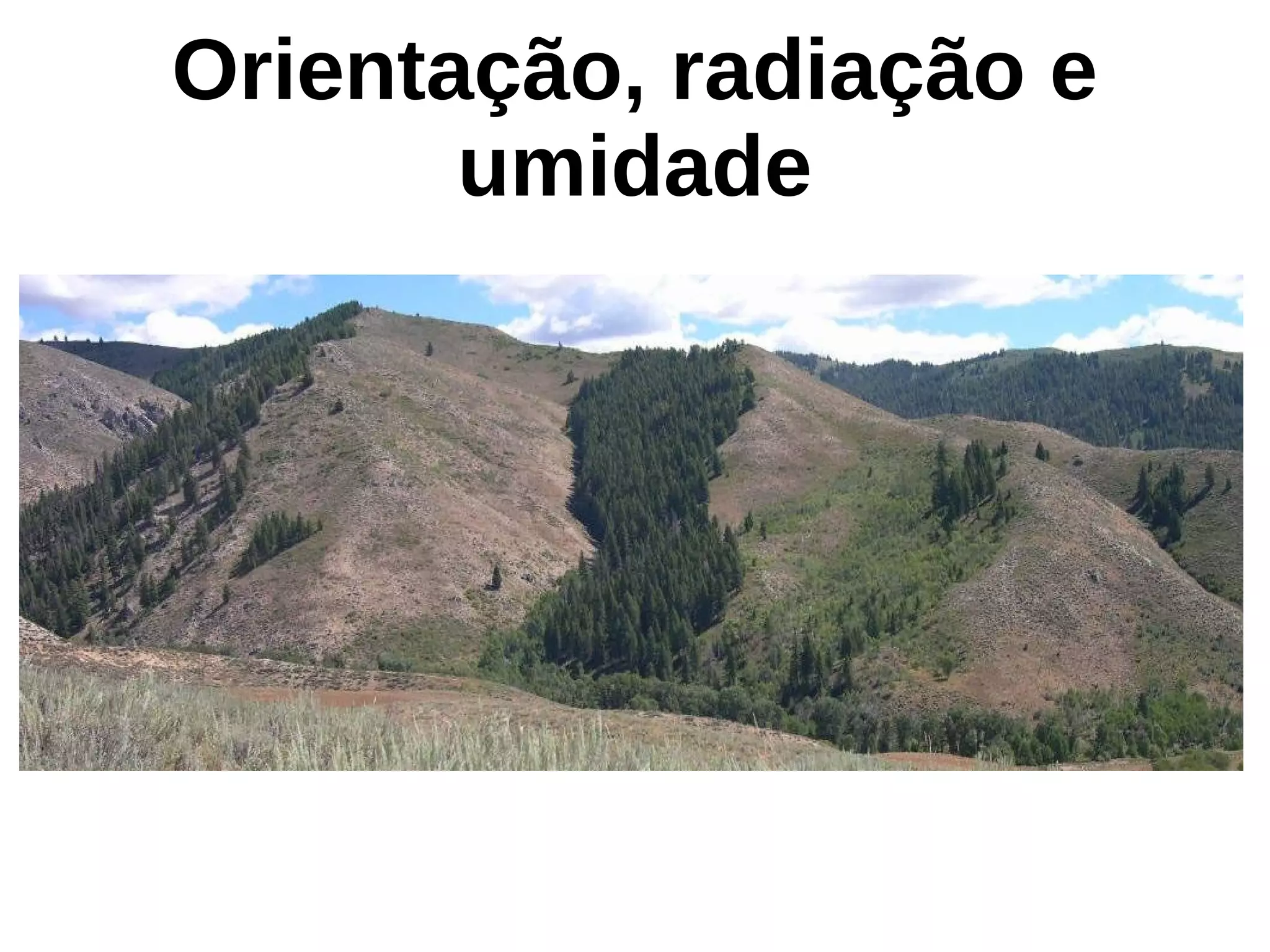 Orientação, radiação e
umidade
 