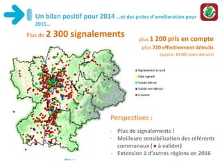 Un bilan positif pour 2014 …et des pistes d’amélioration pour
2015…
Plus de 2 300 signalements plus 1 200 pris en compte
plus 720 effectivement détruits
(approx. 40 000 plans détruits)
Perspectives :
- Plus de signalements !
- Meilleure sensibilisation des référents
communaux ( à valider)
- Extension à d’autres régions en 2016
 