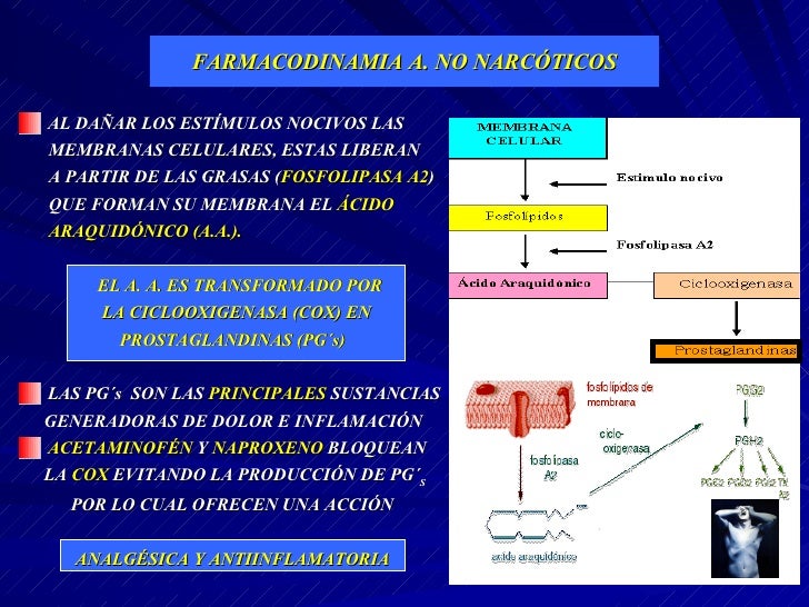 El Dolor por Cancer y su Tratamiento El Dolor por Cancer y su Tratamiento
