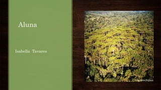 Aluna
Isabella Tavares
 