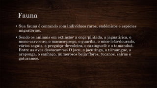 Fauna
• Sua fauna é contando com indivíduos raros, endêmicos e espécies
migratórias.
• Sendo os animais em extinção: a onça-pintada, a jaguatirica, o
mono-carvoeiro, o macaco-prego, o guariba, o mico-leão-dourado,
vários saguis, a preguiça-de-coleira, o caxinguelê e o tamanduá.
Entre as aves destacam-se: O jacu, a jacutinga, o tié-sangue, a
araponga, o sanhaço, numerosos beija-flores, tucanos, saíras e
gaturamos.
 
