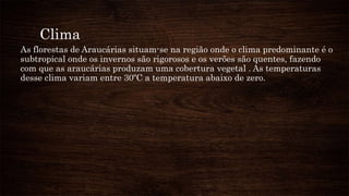 Clima
As florestas de Araucárias situam-se na região onde o clima predominante é o
subtropical onde os invernos são rigorosos e os verões são quentes, fazendo
com que as araucárias produzam uma cobertura vegetal . As temperaturas
desse clima variam entre 30ºC a temperatura abaixo de zero.
 