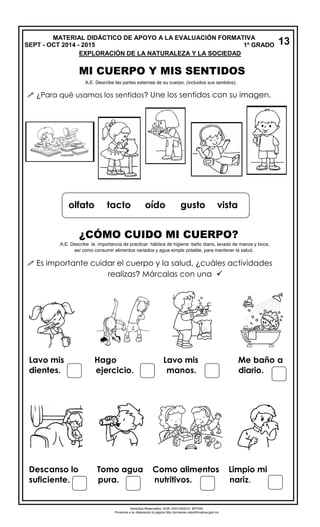 MATERIAL DIDÁCTICO DE APOYO A LA EVALUACIÓN FORMATIVA 
1º GRADO 
EXPLORACIÓN DE LA NATURALEZA Y LA SOCIEDAD 
MI CUERPO Y MIS SENTIDOS 
 ¿Para qué usamos los sentidos? Une los sentidos con su imagen. 
¿CÓMO CUIDO MI CUERPO? 
así como consumir alimentos variados y agua simple potable, para mantener la salud. 
 Es importante cuidar el cuerpo y la salud, ¿cuáles actividades 
realizas? Márcalas con una  
Lavo mis Hago Lavo mis Me baño a 
dientes. ejercicio. manos. diario. 
Descanso lo Tomo agua Como alimentos Limpio mi 
suficiente. pura. nutritivos. nariz. 
13 
A.E. Describe las partes externas de s u cuerpo. (incluidos sus sentidos). 
. 
A.E. Describe la importancia de practicar hábitos de higiene: baño diario, lavado de manos y boca, 
olfato tacto oído gusto vista 
Derechos Reservados. GOB. EDO.SEECH. MTPZN. 
Ponemos a su disposición la página http://primarias.cetechihuahua.gob.mx 
SEPT - OCT 2014 - 2015 
 