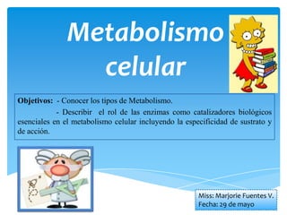 Metabolismo
                 celular
Objetivos: - Conocer los tipos de Metabolismo.
            - Describir el rol de las enzimas como catalizadores biológicos
esenciales en el metabolismo celular incluyendo la especificidad de sustrato y
de acción.




                                                       Miss: Marjorie Fuentes V.
                                                       Fecha: 29 de mayo
 