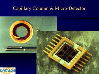 Capillary Column & Micro-Detector
 