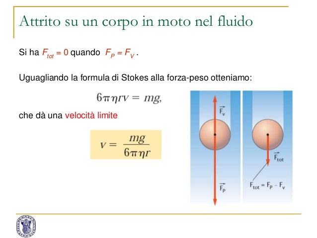 1 meccanica fluidi