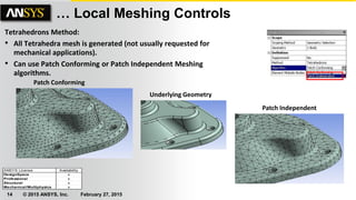 1 Mechanical_Intro_16.0_L04__Meshing.pdf