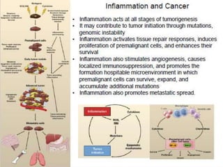 1 Mechanism of action of toxic agents (1).pptx