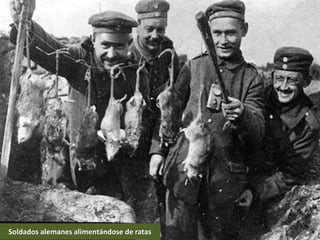 Soldados alemanes alimentándose de ratas
 