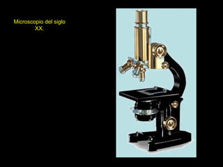 Microscopio del siglo
        XX.
 