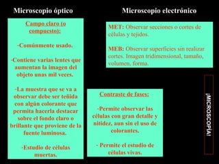 Microscopio óptico                       Microscopio electrónico
      Campo claro (o
                                     MET: Observar secciones o cortes de
       compuesto):
                                     células y tejidos.
  -Comúnmente usado.
                                     MEB: Observar superficies sin realizar
                                     cortes. Imagen tridimensional, tamaño,
-Contiene varias lentes que
                                     volumen, forma.
 aumentan la imagen del
  objeto unas mil veces.

  -La muestra que se va a
 observar debe ser teñida        Contraste de fases:




                                                                              ¡MICROSCOPÍA!
 con algún colorante que
 permita hacerla destacar        -Permite observar las
   sobre el fondo claro o      células con gran detalle y
brillante que proviene de la   nitidez, aun sin el uso de
      fuente luminosa.                 colorantes.

    -Estudio de células         - Permite el estudio de
         muertas.                    células vivas.
 