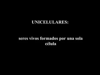 UNICELULARES:


seres vivos formados por una sola
               célula
 