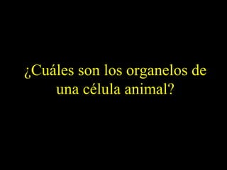 ¿Cuáles son los organelos de
    una célula animal?
 