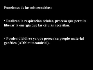 Funciones de las mitocondrias:


• Realizan la respiración celular, proceso que permite
liberar la energía que las células necesitan.


• Pueden dividirse ya que poseen su propio material
genético (ADN mitocondrial).
 