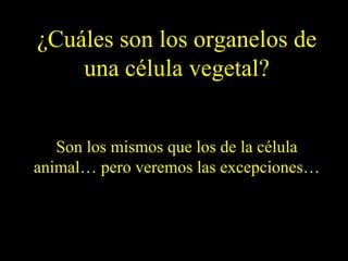 ¿Cuáles son los organelos de
    una célula vegetal?


   Son los mismos que los de la célula
animal… pero veremos las excepciones…
 