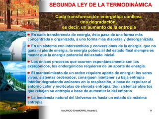 SEGUNDA LEY DE LA TERMODINÁMICA
Cada transformación energética conlleva
una degradación,
es decir, un aumento de la entropía
En cada transferencia de energía, ésta pasa de una forma más
concentrada y organizada, a una forma más dispersa y desorganizada.
En un sistema con intercambios y conversiones de la energía, que no
gana ni pierde energía, la energía potencial del estado final siempre es
menor que la energía potencial del estado inicial.
Los únicos procesos que ocurren espontáneamente son los
exergónicos, los endergónicos requieren de un aporte de energía.
El mantenimiento de un orden requiere aporte de energía: los seres
vivos, sistemas ordenados, consiguen mantener su baja entropía
interior degradando azúcares en la respiración, a base de expulsar al
entorno calor y moléculas de elevada entropía. Son sistemas abiertos
que rebajan su entropía a base de aumentar la del entorno
La tendencia natural del Universo es hacia un estado de máxima
entropía
02/12/2009 11MAURICIO CHAMORRO, Ricardo E.
 