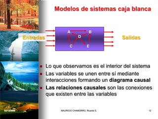 Modelos de sistemas caja blanca
 Lo que observamos es el interior del sistema
 Las variables se unen entre sí mediante
interacciones formando un diagrama causal
 Las relaciones causales son las conexiones
que existen entre las variables
A B
D
C E
Entradas Salidas
02/12/2009 12MAURICIO CHAMORRO, Ricardo E.
 