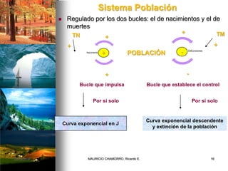 Sistema Población
 Regulado por los dos bucles: el de nacimientos y el de
muertes
Nacimientos
Defunciones
POBLACIÓN
TN TM
+
+
+
+
Bucle que impulsa
Por sí solo
Curva exponencial en J
+
-
-
+
Bucle que establece el control
Por sí solo
Curva exponencial descendente
y extinción de la población
02/12/2009 16MAURICIO CHAMORRO, Ricardo E.
 