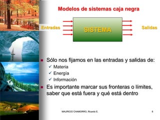 Modelos de sistemas caja negra
 Sólo nos fijamos en las entradas y salidas de:
 Materia
 Energía
 Información
 Es importante marcar sus fronteras o límites,
saber que está fuera y qué está dentro
SISTEMAEntradas Salidas
02/12/2009 8MAURICIO CHAMORRO, Ricardo E.
 