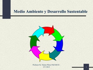 Profesor Sr. Néstor Pérez Poll EICO -
UV 2013 1
Medio Ambiente y Desarrollo Sustentable
 