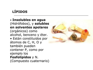 •  Insolubles en agua (Hidrófobos), y  solubles en solventes apolares  (orgánicos) como alcohol, benceno y éter. •  Están constituidos por átomos de C, H, O y también pueden contener P, como por ejemplo los Fosfolípidos  y N. (Compuesto cuaternario) LÍPIDOS 