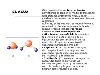 Otra propiedad es ser  buen solvente,  convirtiendo al agua en el medio de transporte ideal para los organismos vivos, y es un excelente medio para que se realicen diversas reacciones químicas, en las que muchas veces interviene, rompiendo moléculas en presencia de ella (agua), proceso llamado  Hidrólisis •  Posee un  alto calor específico . •  Alta tensión superficial:  Resistencia a la penetración de la superficie de un líquido causada por la cohesión de sus moléculas. El agua tiene una tensión superficial extremadamente alta •  Capilaridad:  El movimiento del agua o de cualquier líquido a lo largo de una superficie; resulta del efecto combinado de la cohesión y la adhesión •  Imbibición:  El movimiento de agua por capilaridad hacia el interior de las semillas en germinación y de sustancias como la madera y la gelatina, que se hinchan como resultado de ello. EL AGUA 