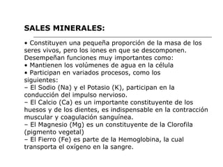 SALES MINERALES: •  Constituyen una pequeña proporción de la masa de los seres vivos, pero los iones en que se descomponen.  Desempeñan funciones muy importantes como: •  Mantienen los volúmenes de agua en la célula •  Participan en variados procesos, como los siguientes: –  El Sodio (Na) y el Potasio (K), participan en la conducción del impulso nervioso. –  El Calcio (Ca) es un importante constituyente de los huesos y de los dientes, es indispensable en la contracción muscular y coagulación sanguínea. –  El Magnesio (Mg) es un constituyente de la Clorofila (pigmento vegetal) –  El Fierro (Fe) es parte de la Hemoglobina, la cual transporta el oxígeno en la sangre. 