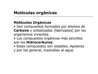Moléculas Orgánicas •  Son compuestos formados por átomos de Carbono  y sintetizados (fabricados) por los organismos vivientes. •  Los compuestos orgánicos más sencillos son los  Hidrocarburos . •  Estos compuestos son estables, Apolares y por los general, insolubles al agua. Moléculas orgánicas 