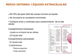 65-75% del peso total del cuerpo humano es líquido.
Se encuentra en constante movimiento
Contiene iones y nutrientes para mantenimiento de la vida
celular
Compartimento intracelular:
Líquido en el interior de las células.
2/3 líquido total
Compartimento extracelular:
1/3 líquido total
2 subdivisiones:
Plasma sanguíneo
Fluido intersticial
MEDIO INTERNO: LÍQUIDO EXTRACELULAR
 