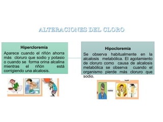 Hipercloremia
Aparece cuando el riñón ahorra
más cloruro que sodio y potasio
o cuando se forma orina alcalina
mientras el riñón está
corrigiendo una alcalosis.
Hipocloremia
Se observa habitualmente en la
alcalosis metabólica. El agotamiento
de cloruro como causa de alcalosis
metabólica se observa cuando el
organismo pierde más cloruro que
sodio.
 