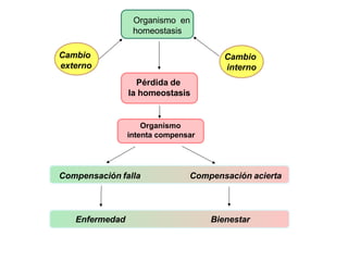 Organismo en
homeostasis
Cambio
externo
Cambio
interno
Pérdida de
la homeostasis
Organismo
intenta compensar
Compensación falla Compensación acierta
Enfermedad Bienestar
 
