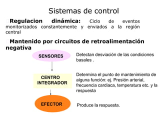 Detectan desviación de las condiciones
basales .
Determina el punto de mantenimiento de
alguna función: ej. Presión arterial,
frecuencia cardiaca, temperatura etc. y la
respuesta
Produce la respuesta.
Sistemas de control
Regulacion dinámica: Ciclo de eventos
monitorizados constantemente y enviados a la región
central
Mantenido por circuitos de retroalimentación
negativa
SENSORES
CENTRO
INTEGRADOR
EFECTOR
 