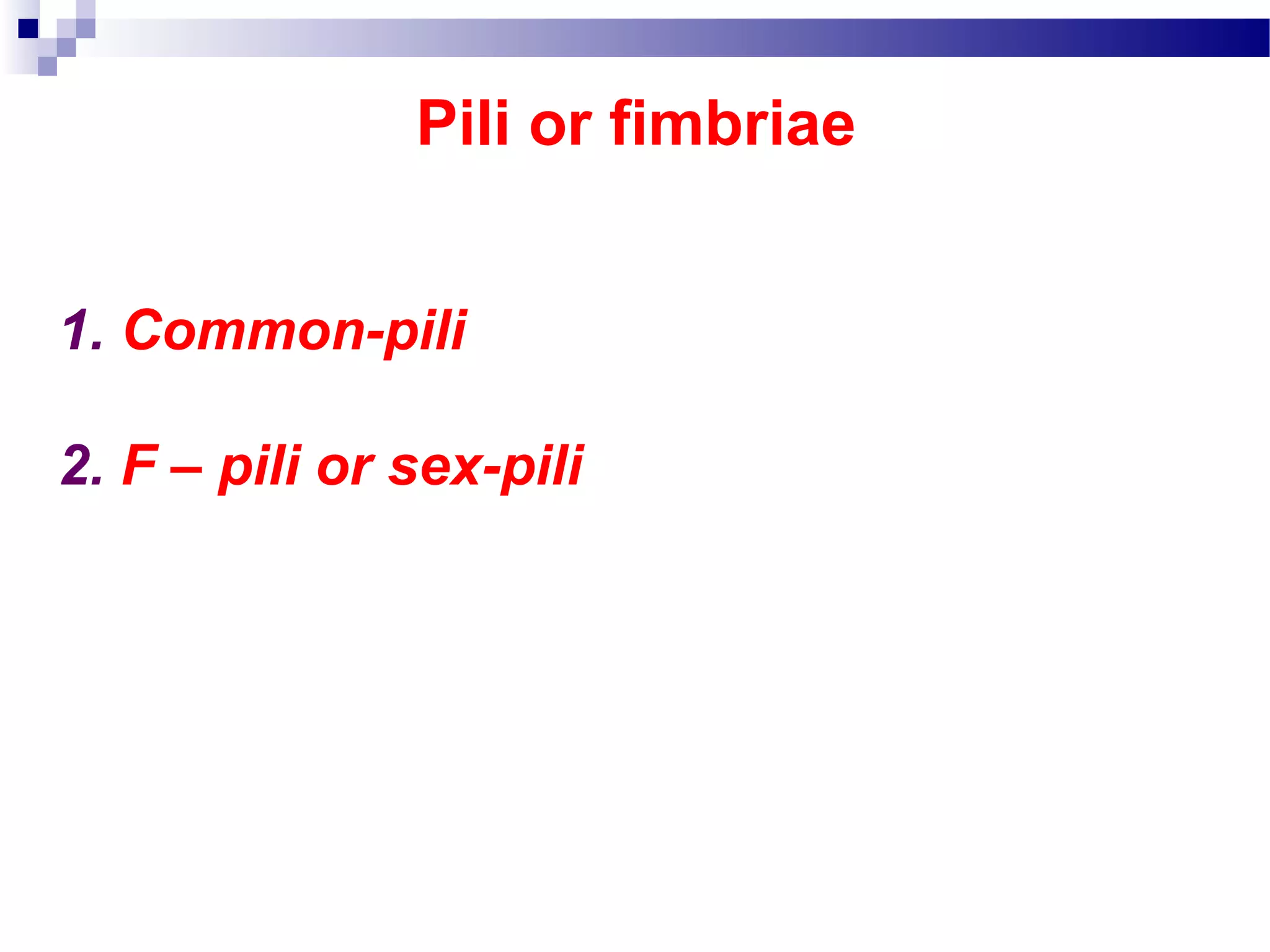 Pili or fimbriae
1. Common-pili
2. F – pili or sex-pili
 