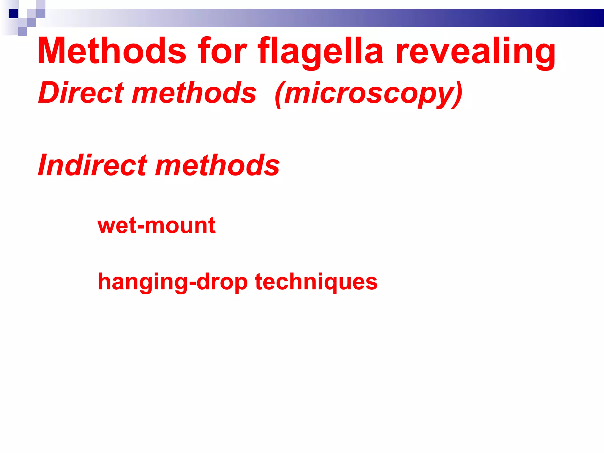 Methods for flagella revealing
Direct methods (microscopy)
Indirect methods
wet-mount
hanging-drop techniques
 