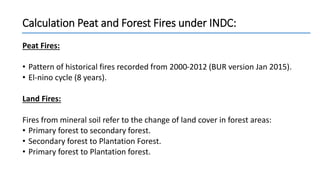 Lessons Learnt From Unilateral Process of Reducing Emissions From Land-based Sector in Indonesiq