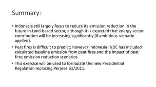 Lessons Learnt From Unilateral Process of Reducing Emissions From Land-based Sector in Indonesiq