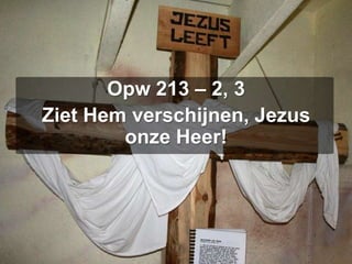 Opw 213 – 2, 3Ziet Hem verschijnen, Jezus onze Heer!