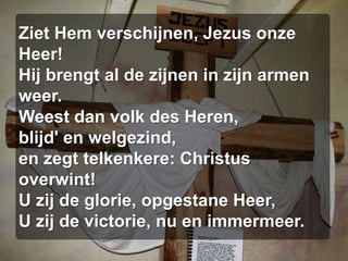 Ziet Hem verschijnen, Jezus onze Heer!Hij brengt al de zijnen in zijn armen weer.Weest dan volk des Heren,blijd' en welgezind,en zegt telkenkere: Christus overwint!U zij de glorie, opgestane Heer,U zij de victorie, nu en immermeer.