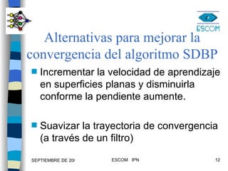 Alternativas para mejorar la convergencia del algoritmo SDBP Incrementar la velocidad de aprendizaje en superficies planas y disminuirla conforme la pendiente aumente. Suavizar la trayectoria de convergencia (a través de un filtro) 