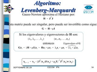 Algoritmo:  Levenberg-Marquardt Gauss-Newton aproxima el Hesiano por: Esta matriz puede ser singular, pero puede ser invertible como sigue: Si los eigenvalores y eigenvectores de  H  son: entonces Eigenvalues of  G 