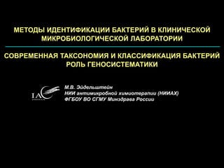 Modern Taxonomy And Classification Of Bacteria (RUS) | PPT