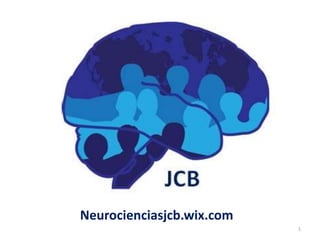 1
Neurocienciasjcb.wix.com
 
