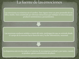 Las emociones no existirían sin el cerebro. Este órgano tiene un peso promedio de un
 kilo y medio. Está constituido por diversas estructuras que trabajan en sincronía para
                        producir sentimientos y pensamientos.




 Las neuronas conducen señales a través del axón, prolongación que se extiende desde
      el cuerpo de la neurona hacia fuera de está y recibe información, neuronal.




La dopamina está involucrada en el sistema de recompensa cerebral y, por tanto, cuando
                      se produce, genera sentimientos de placer.
 