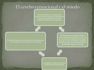 El sistema límbico, muy importante
                                        porque interviene tanto en los procesos de
                                            memoria y aprendizaje como en la
                                          conducta emocional y en la agresión.




                                                                             El hipotálamo puede ayudar a
                                                                           crear emociones básicas como la
El cerebro emocional está formado por estructuras que                      ira y el terror, además de estados
    se desarrollaron muy temprano en la evolución.                         positivos que van desde el placer
                                                                               moderado hasta el éxtasis.




                                                   La amígdala actúa por medio de la
                                                     estimulación del hipotálamo.
 
