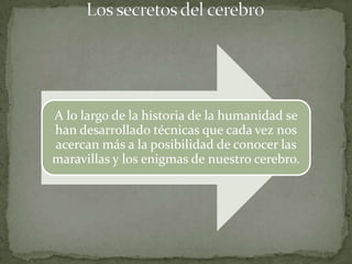 A lo largo de la historia de la humanidad se
han desarrollado técnicas que cada vez nos
acercan más a la posibilidad de conocer las
maravillas y los enigmas de nuestro cerebro.
 