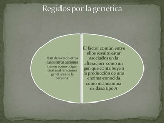 El factor común entre
                          ellos resulto estar
Han detectado otros         asociados en la
casos cuyas acciones     alteración como un
tienen como origen
 ciertas alteraciones   gen que contribuye a
    genéticas de la     la producción de una
       persona.            enzima conocida
                          como monoamina
                            oxidasa tipo A
 