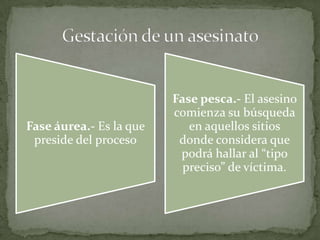 Fase pesca.- El asesino
                         comienza su búsqueda
Fase áurea.- Es la que      en aquellos sitios
 preside del proceso      donde considera que
                          podrá hallar al “tipo
                           preciso” de víctima.
 